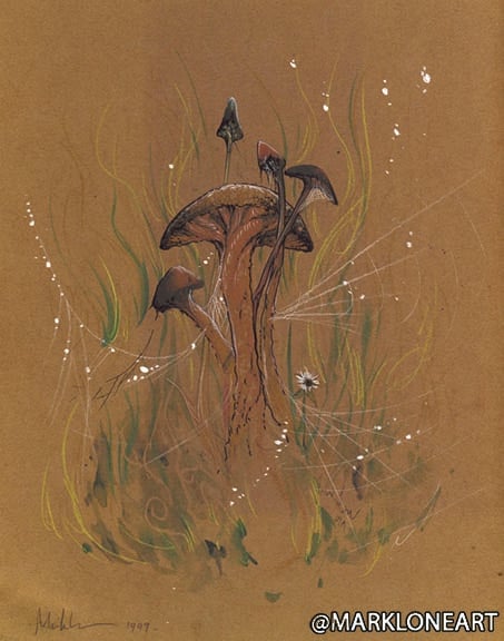 Image of dark brown mushroom 11x14 inch print