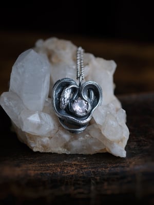 Image of HEART SHAPED SNAKE