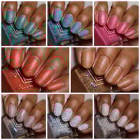 Image 5 of At Sea: Let's Shell-ebrate!