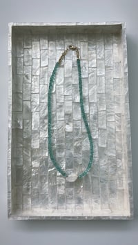 Image 3 of *new* APATITE PETITE SHORTY