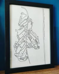 'Brittle Leaf' - Art print