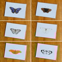 Image 1 of Butterfly Print #4 - Varios Designs
