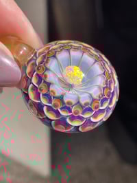 Image 3 of Royal Hyacinth