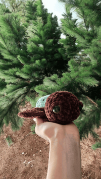 Image 4 of Fruit Turtles 