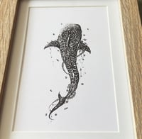 Image 3 of Floral Whale Shark 