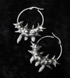 Dead good fox teeth hoop earrings