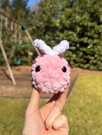 Image 3 of lovebug 