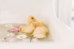Image of Vintage Sink Minis