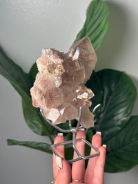 Image 2 of  SMOKEY RUTILE IN QUARTZ CLUSTER ON STAND B