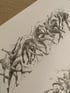 Sketch mouvement   Image 3