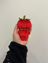 Tiny Tomato 🍅