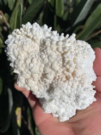 Image 3 of Cave Cloud Calcite #912
