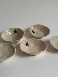 Image 1 of Fly Dish