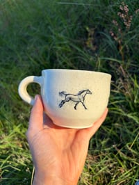 Image 4 of Wild horses