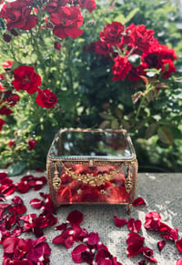 Image 7 of Beau et grand coffre en verre biseauté, velours, miroir, XIXÈME s.