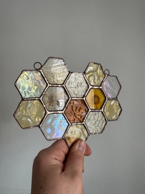 Honeycomb with Calendula and Pincushion flowers