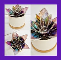 Image 2 of Stained Glass Succulent 