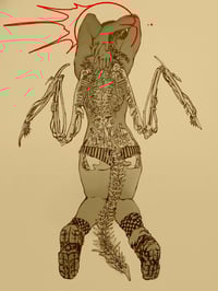 Image 2 of SPINE printed patch 