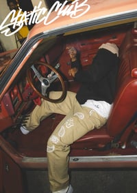 Image 3 of Paisley Static Dickies