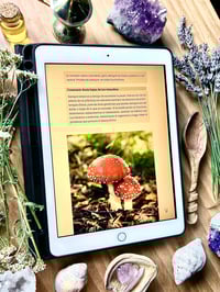 Image 2 of Ebook Alquimia Viva