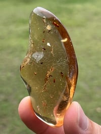 Image 6 of Copal Amber With Preserved Insects #2631