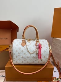 Image 24 of LV BAG