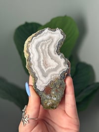 Image 1 of MOSSY INCLUDED WHITE LAGUNA AGATE