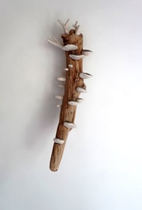 Small Forest Keeper- Cara O'Brien