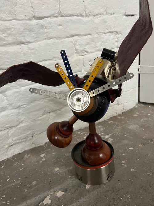 Image of Wonky the bird