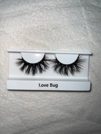 Image 2 of Love Bug