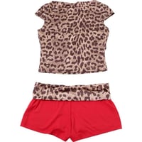 Image 3 of “ CHEETAH ” Set  