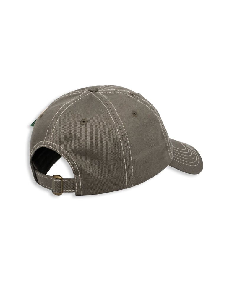 LTTT - Olive Mint Cap Image 3