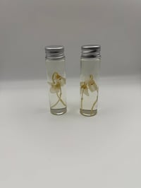 Image 2 of Violets (Viola) Flowers Wet Specimen | 20ml Vial