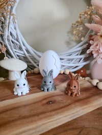 Image 3 of Mystery bunny keychain eggs