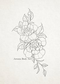 pivoines douces