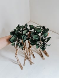 Image 6 of eucalyptus halo