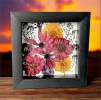 Image 1 of  Zinnias, Cone Flowers, Coreopsis, & Sweet Alyssum in a 6" X 6" Shadow Box (Item# 202507S)