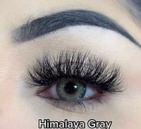 Image 3 of himalaya gray 