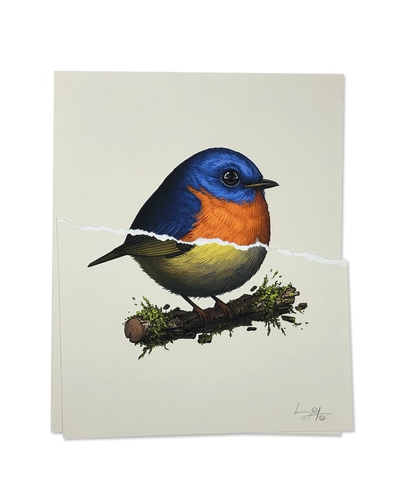 Image of To: THEKoalabeth