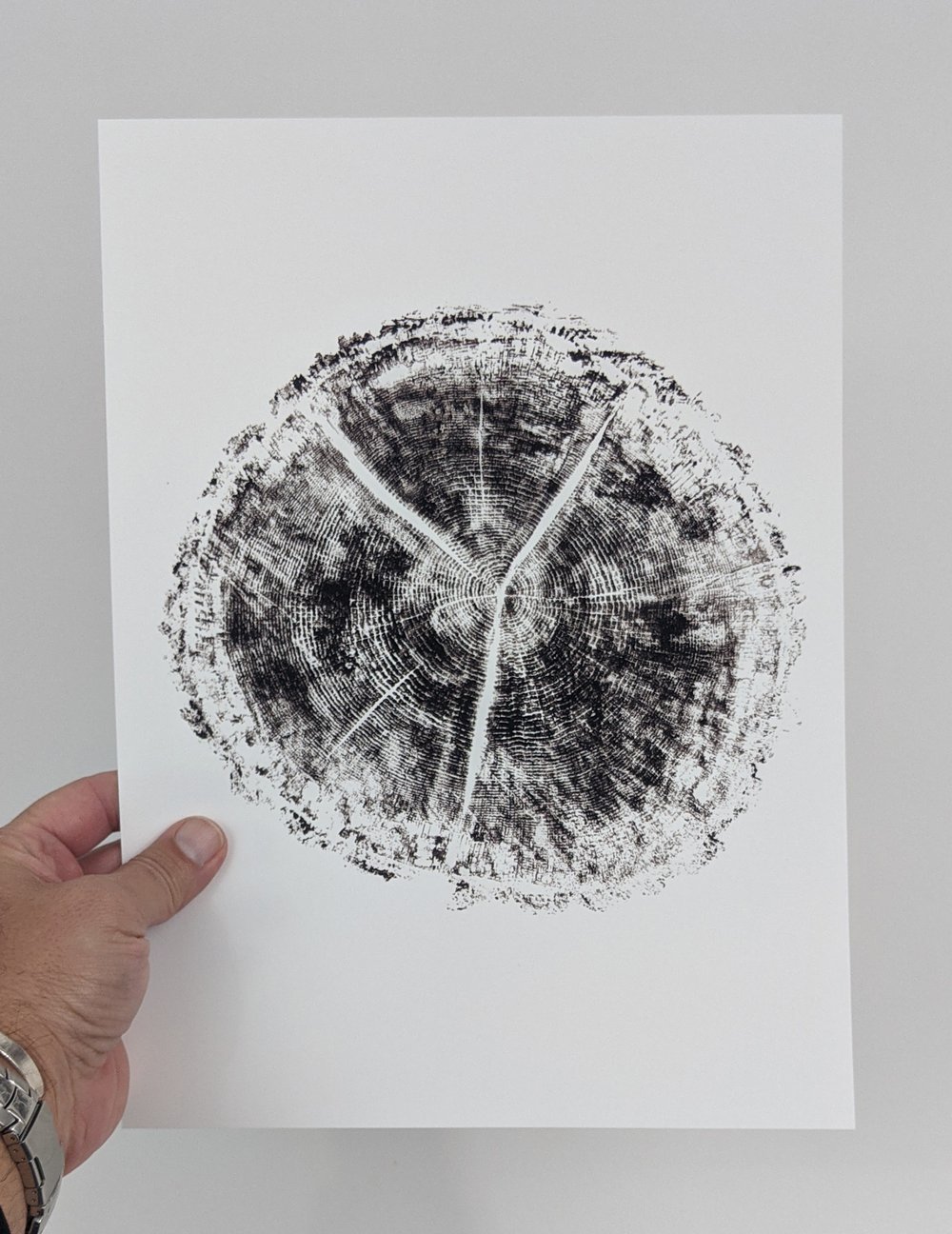 "Age" - Our original tree ring block art print on recycled paper.