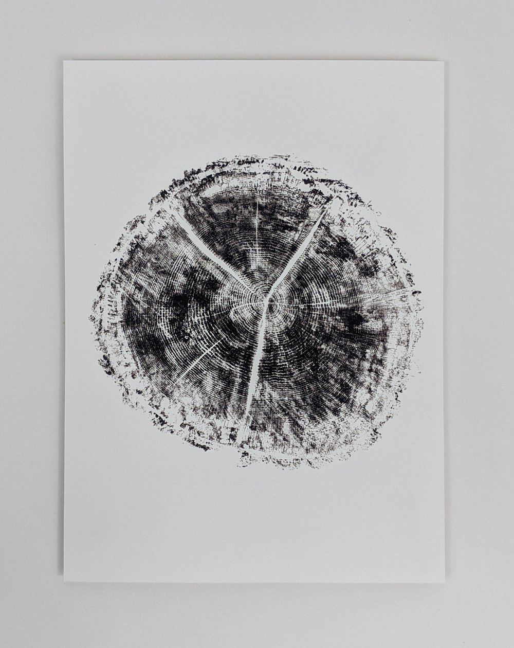 "Age" - Our original tree ring block art print on recycled paper.
