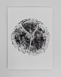 Image 3 of "Age" - Our original tree ring block art print on recycled paper.