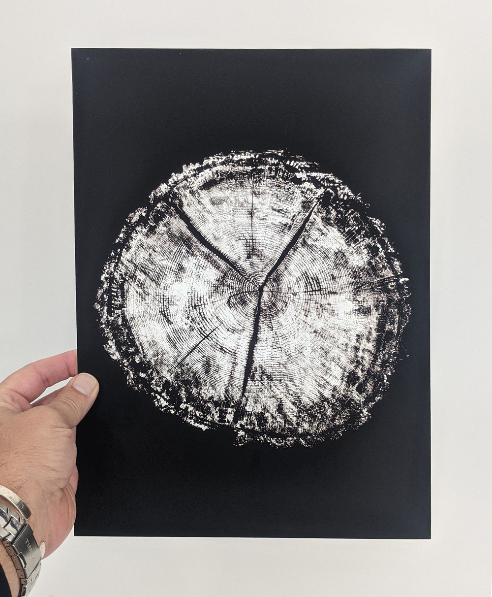 "Age" - Our original tree ring block art print on recycled paper.