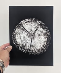Image 1 of "Age" - Our original tree ring block art print on recycled paper.