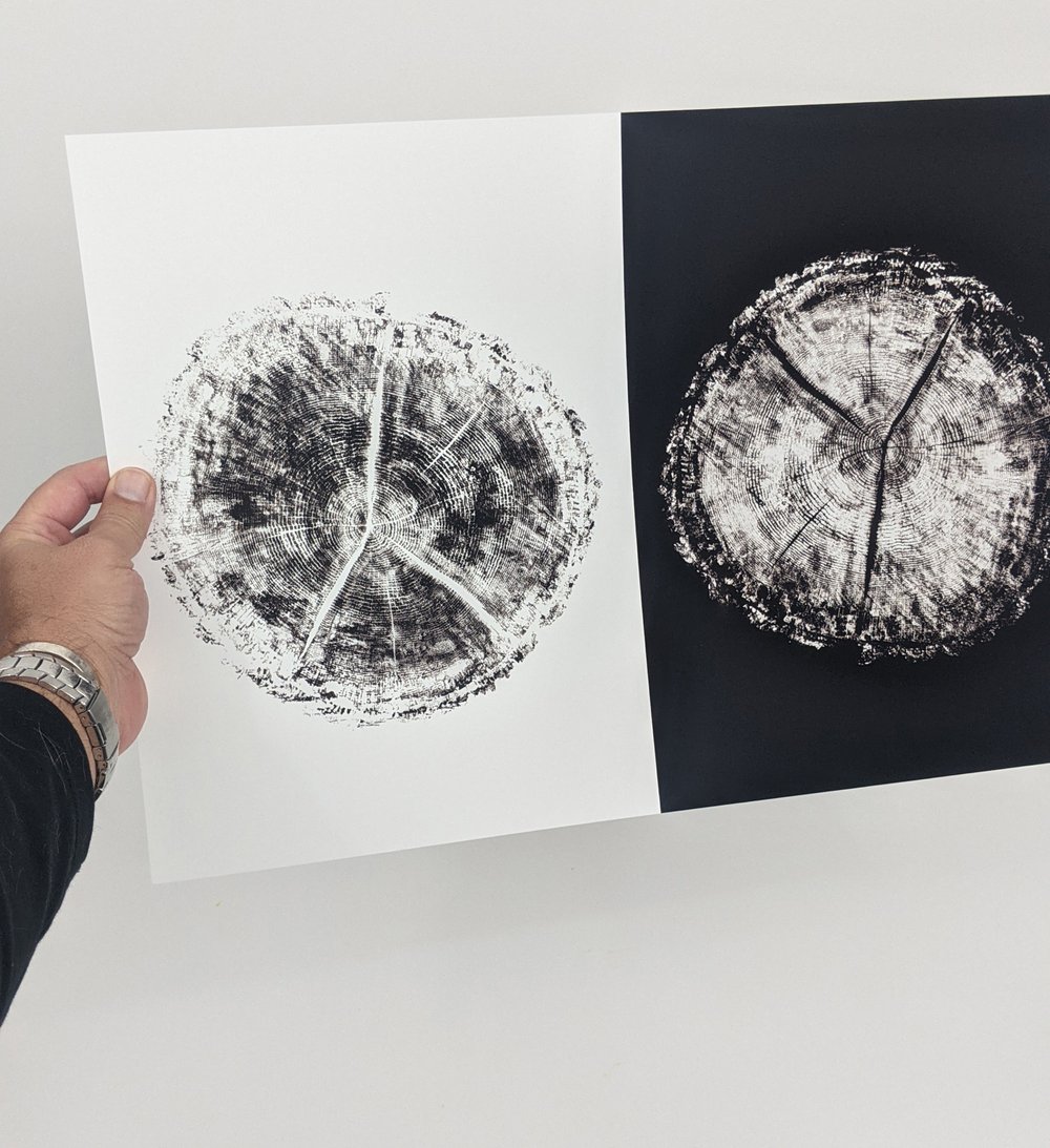 "Age" Black & White - Our original tree ring block art print on recycled paper.
