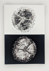 Image 2 of "Age" Black & White - Our original tree ring block art print on recycled paper.