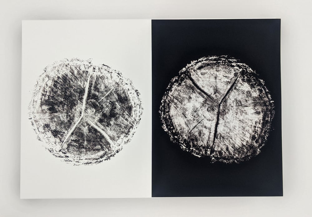 "Age" Black & White - Our original tree ring block art print on recycled paper.