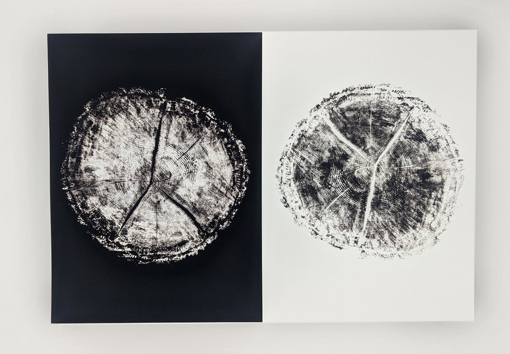 "Age" Black & White - Our original tree ring block art print on recycled paper.
