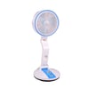Breezy Buddy IV (Duo)