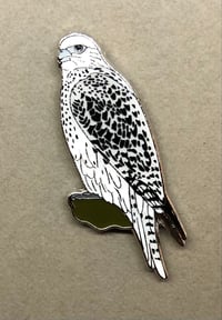 Image 2 of Gyr Falcon - No.48 - UK Birding Series